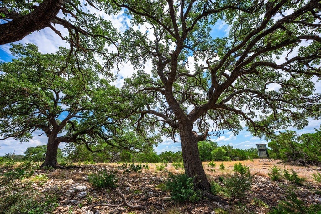140.27 acres in Gillespie County - photo 27