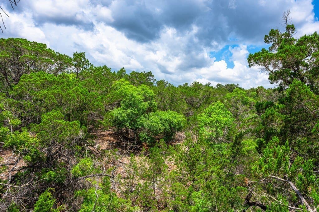 140.27 acres in Gillespie County - photo 30