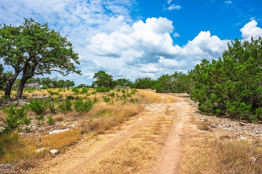 140.27 acres in Gillespie County - photo 24