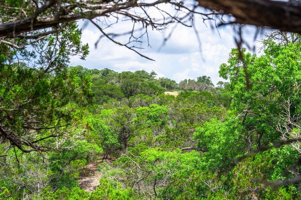 140.28 acres in Gillespie County gallery image 4