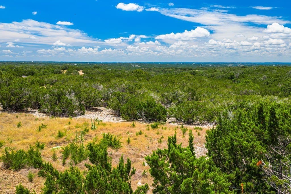 140.27 acres in Gillespie County - photo 23