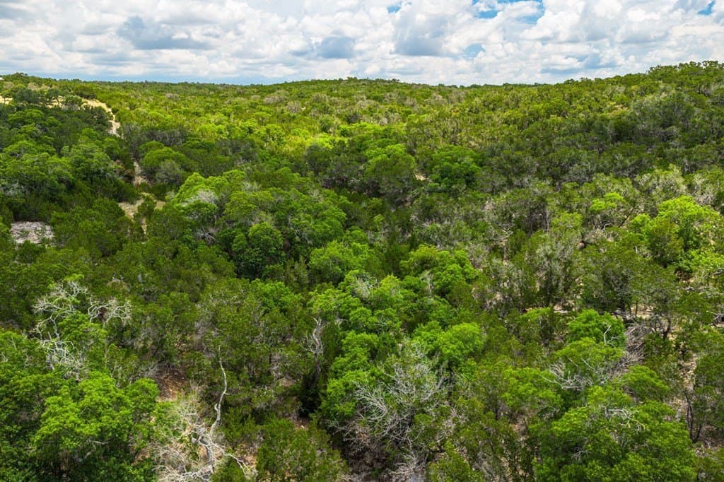 140.27 acres in Gillespie County - photo 16