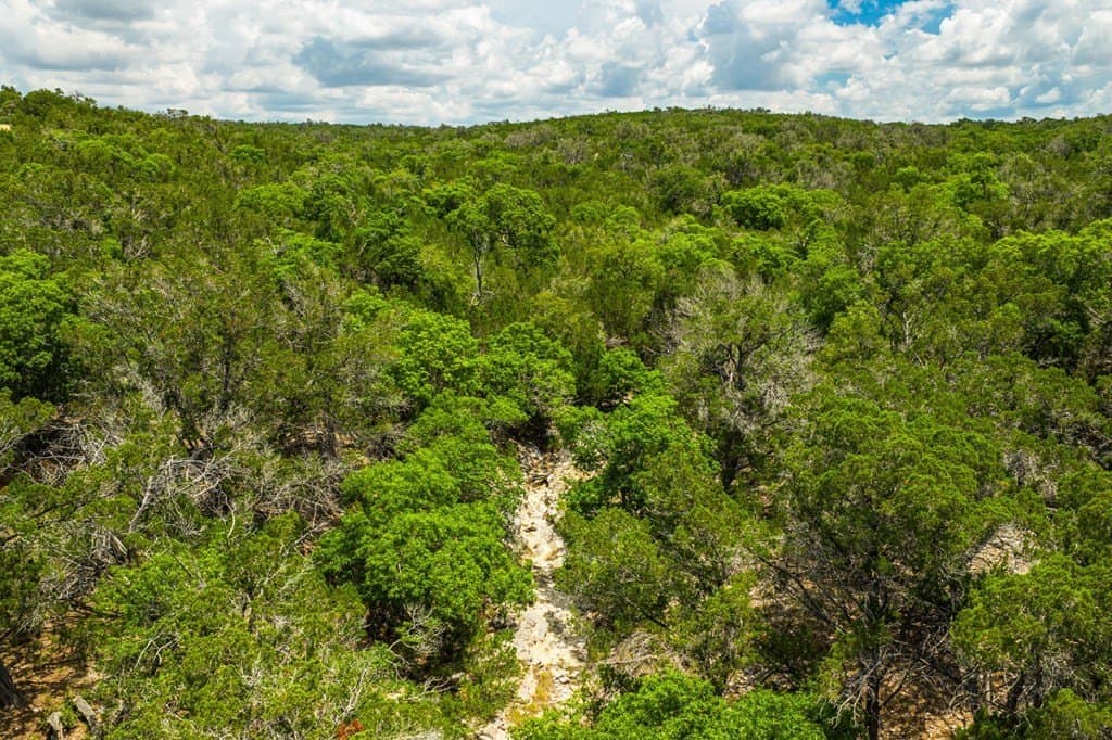 140.27 acres in Gillespie County - photo 17