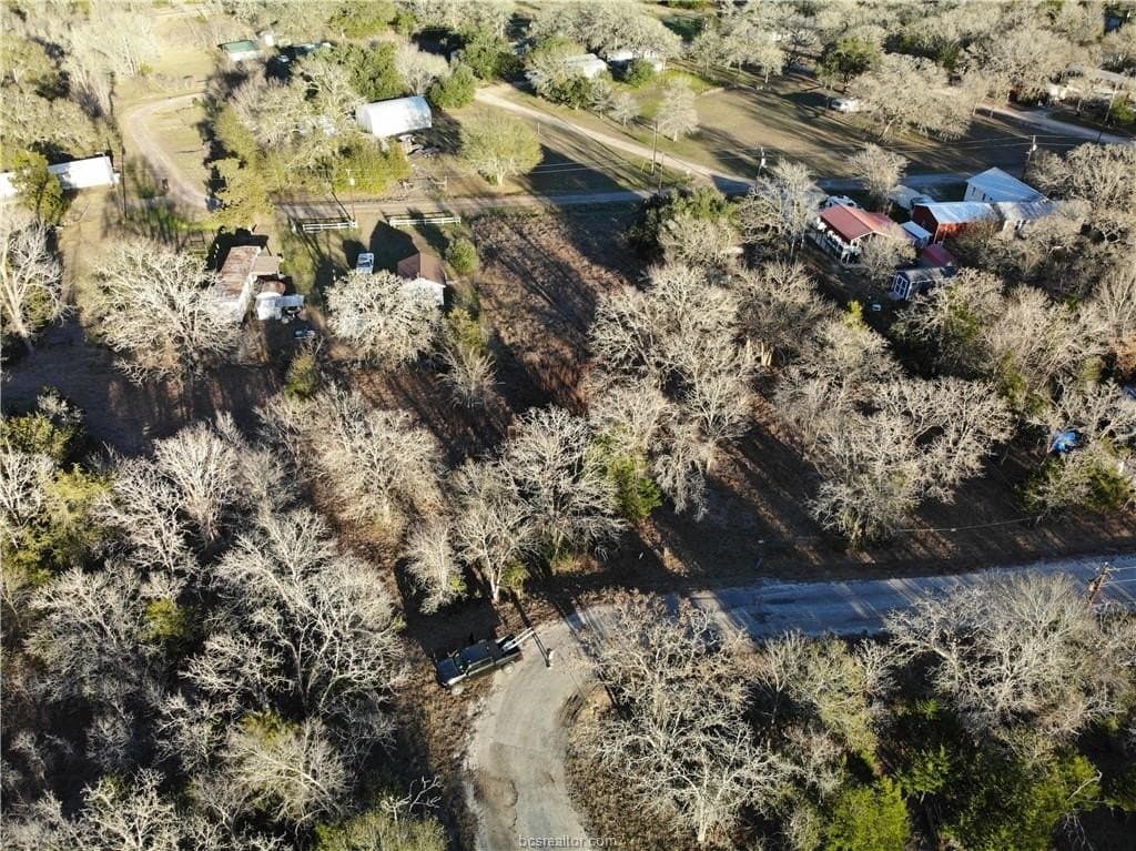 0.31 acres in Burleson County - photo 11