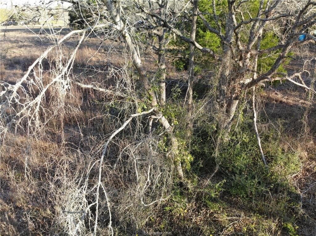 0.31 acres in Burleson County - photo 16
