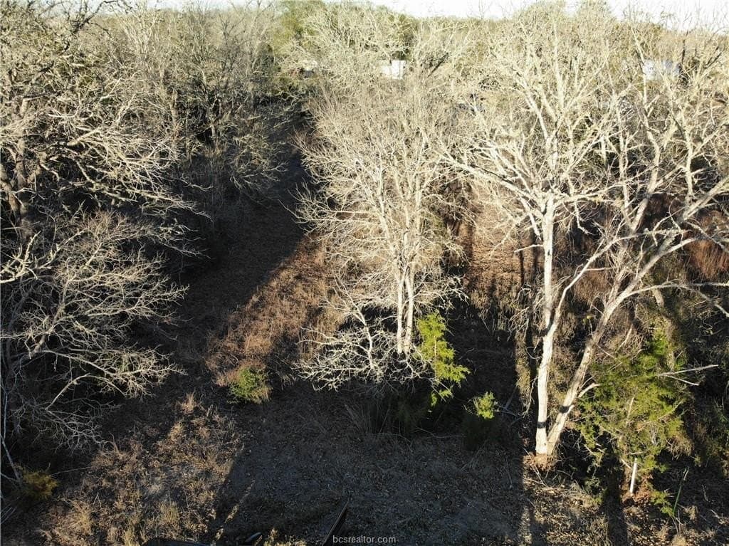 0.31 acres in Burleson County - photo 13