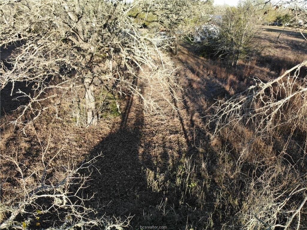 0.31 acres in Burleson County - photo 17