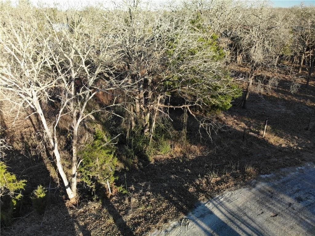 0.31 acres in Burleson County - photo 12