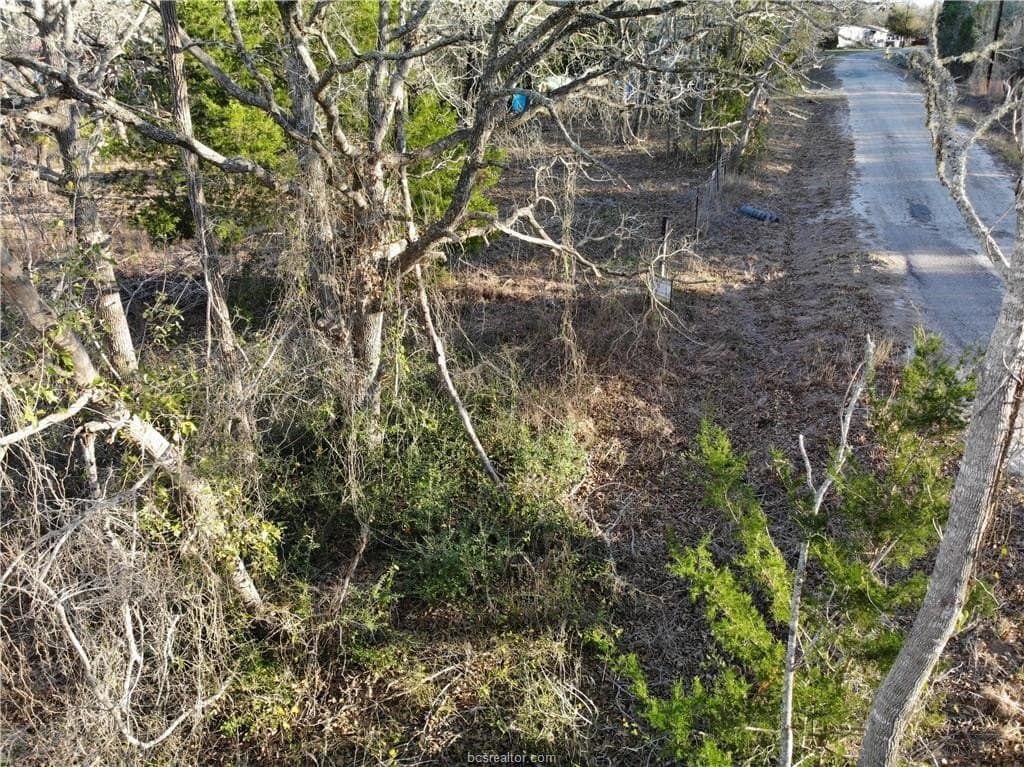 0.31 acres in Burleson County - photo 15