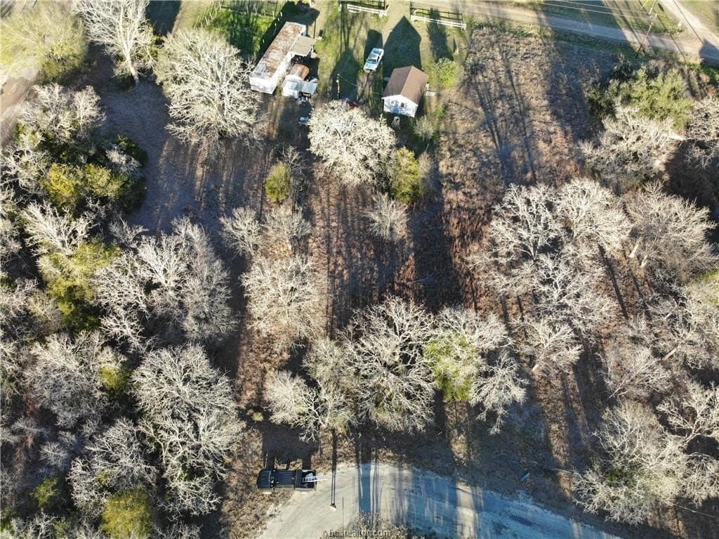 0.31 acres in Burleson County - photo 2