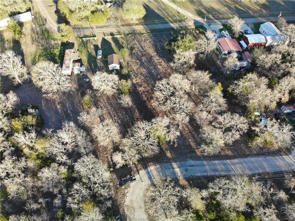 0.31 acres in Burleson County - photo 3