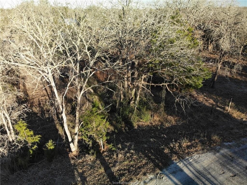 0.31 acres in Burleson County - photo 14