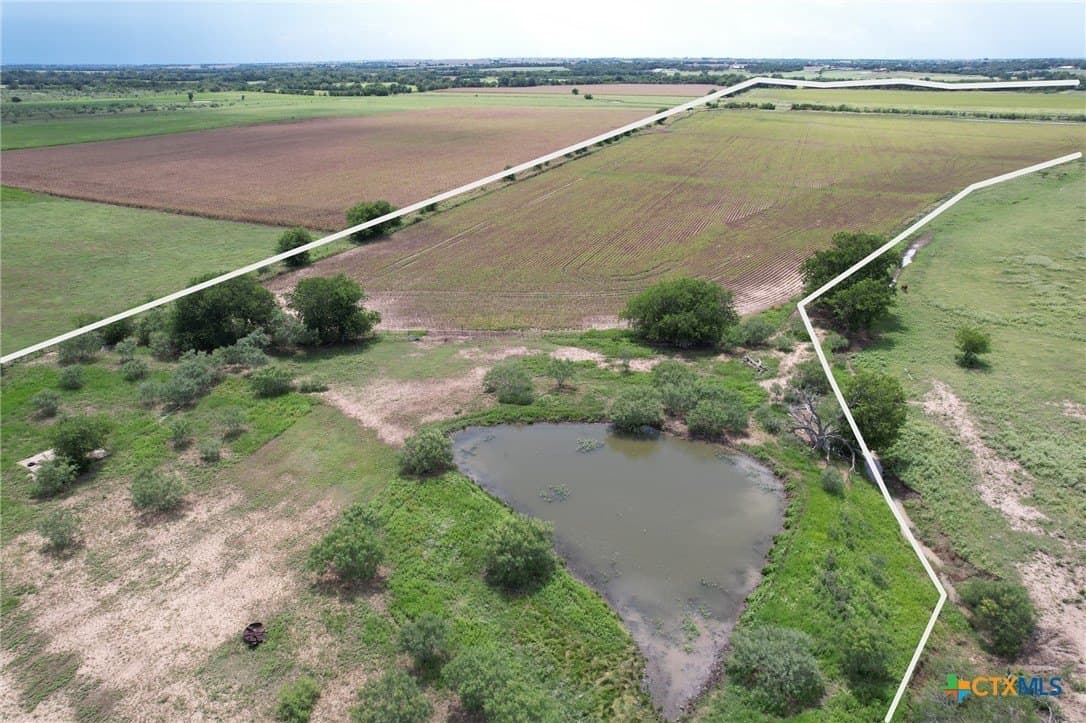 91.76 acres in Milam County gallery image 2