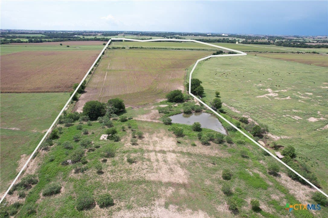 91.76 acres in Milam County gallery image 3
