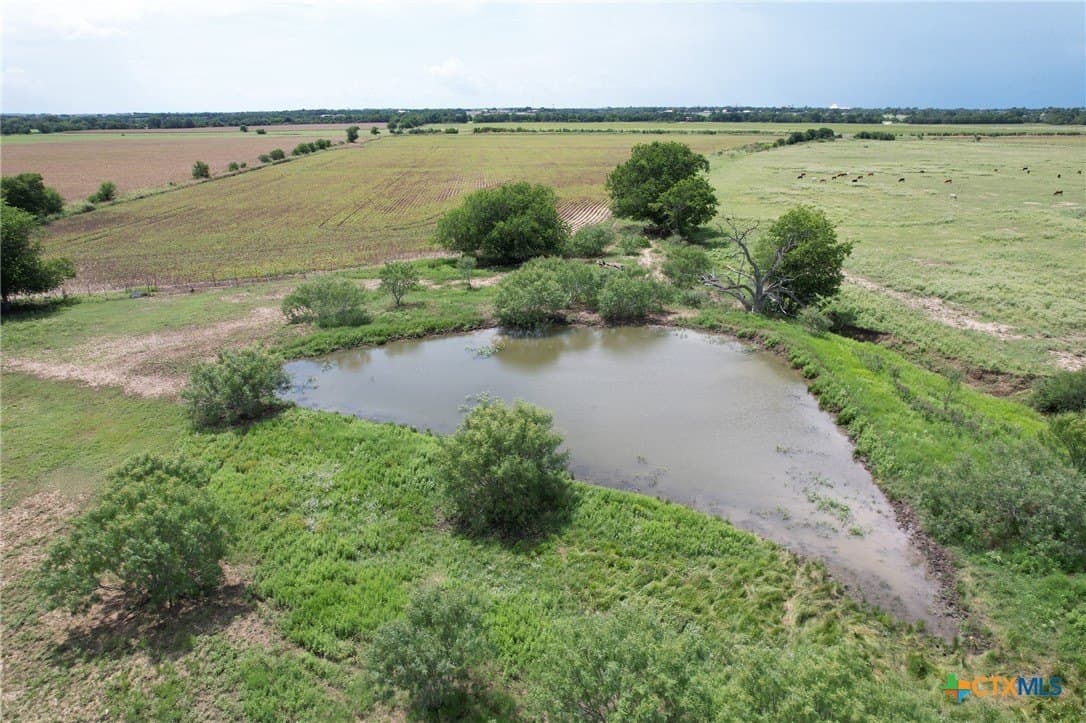 91.76 acres in Milam County featured view