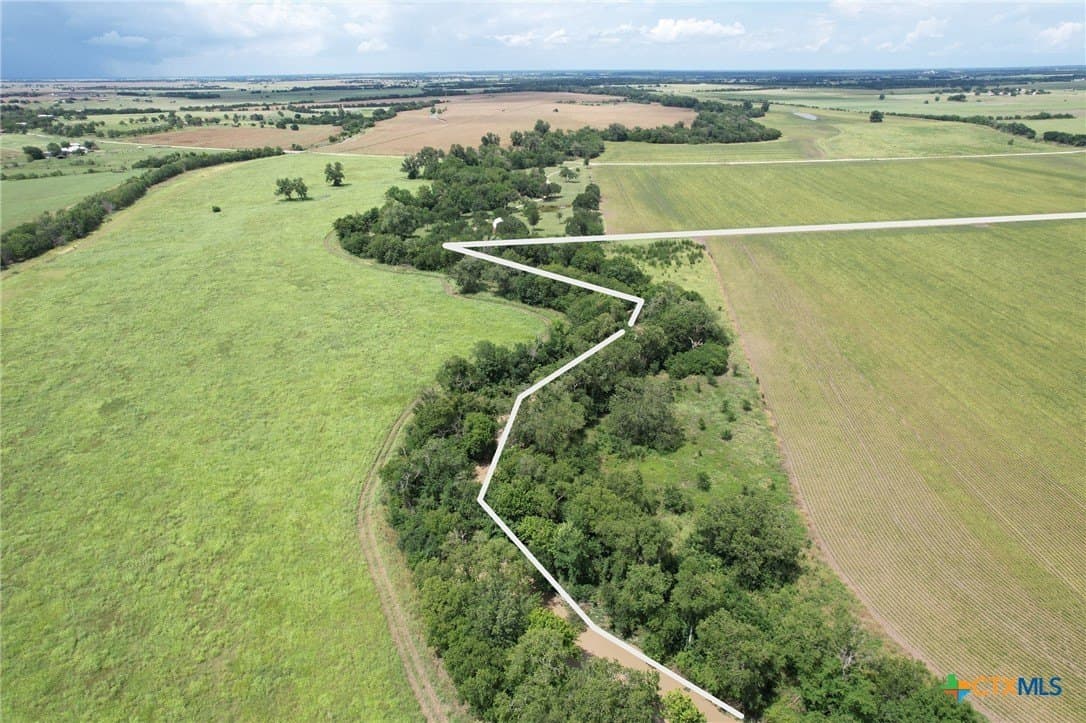 91.76 acres in Milam County - photo 7