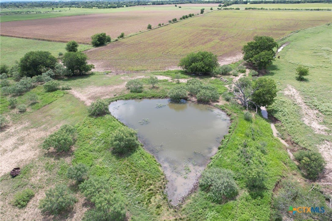 91.76 acres in Milam County gallery image 4