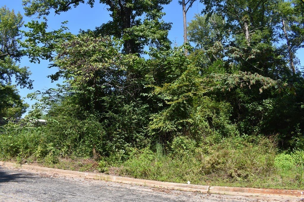 1.3 acres in ANDERSON County - photo 2