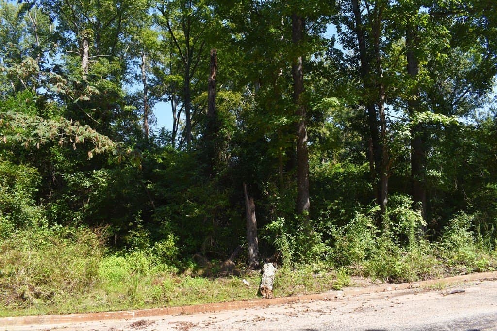 1.3 acres in ANDERSON County - photo 4