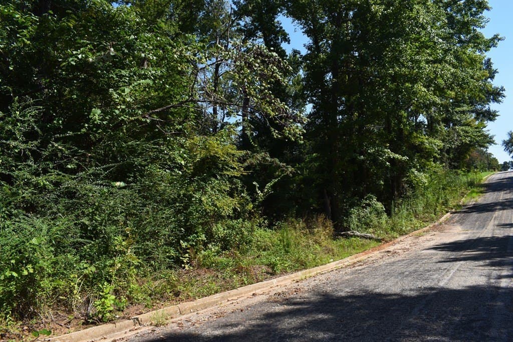 1.3 acres in ANDERSON County - photo 5