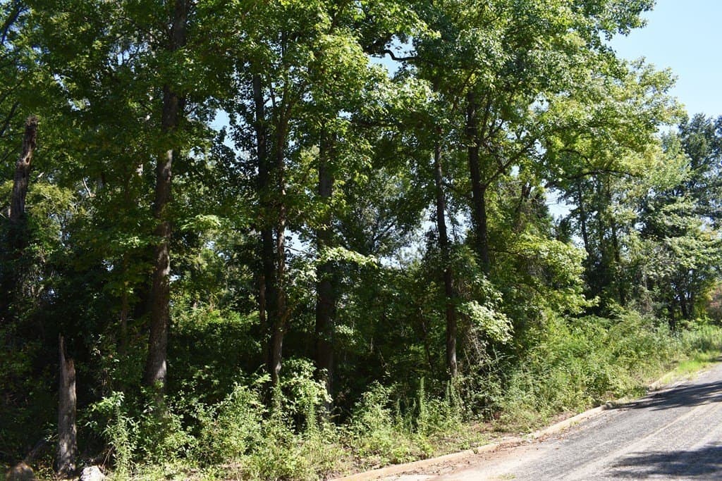 1.3 acres in ANDERSON County - photo 3