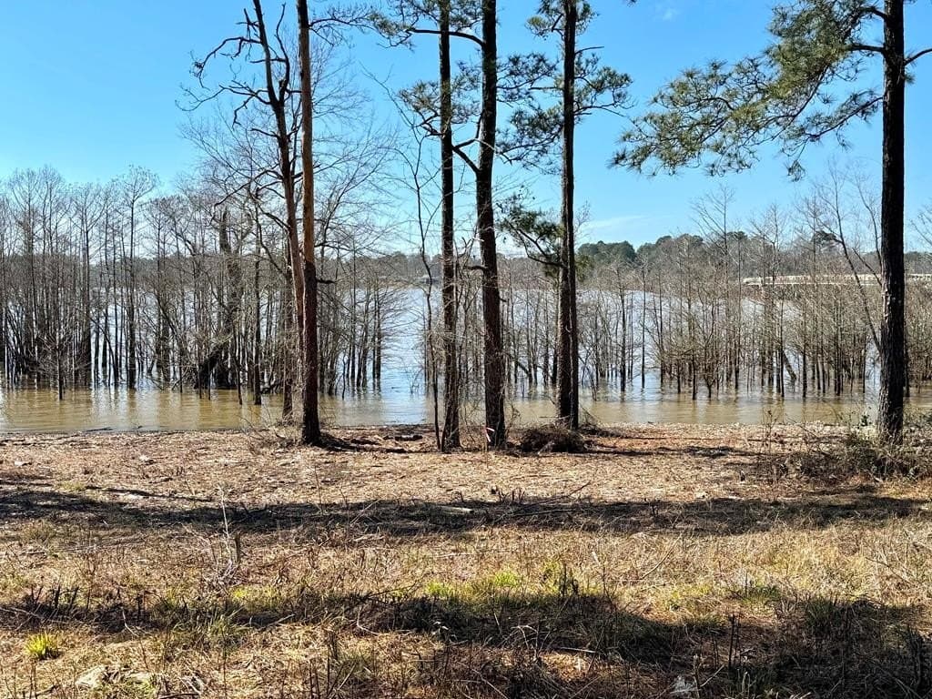 1.5 acres in Texas County
