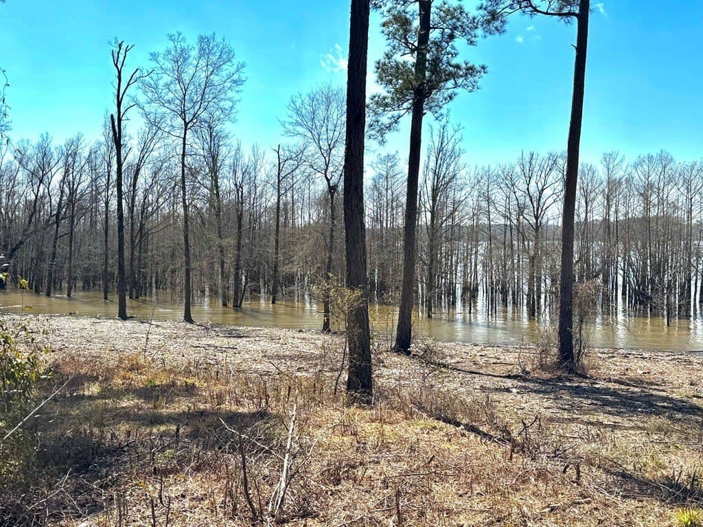 1.5 acres in Texas County - photo 2