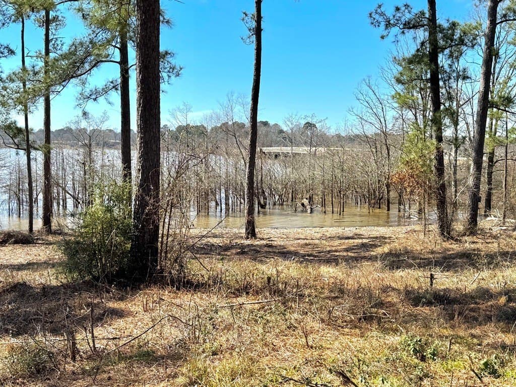 1.5 acres in Texas County - photo 6