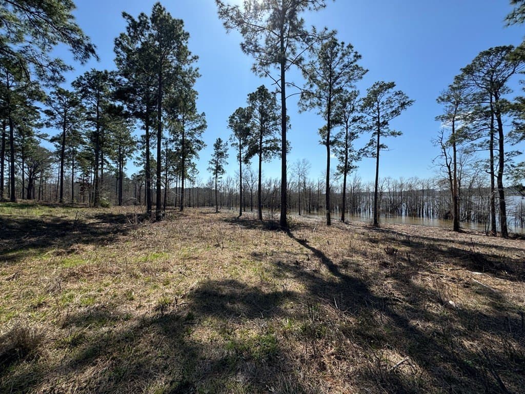 1.5 acres in Texas County - photo 29