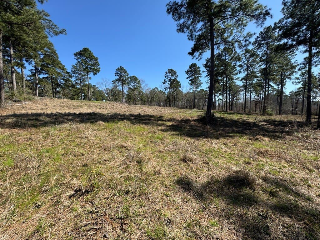 1.5 acres in Texas County - photo 3