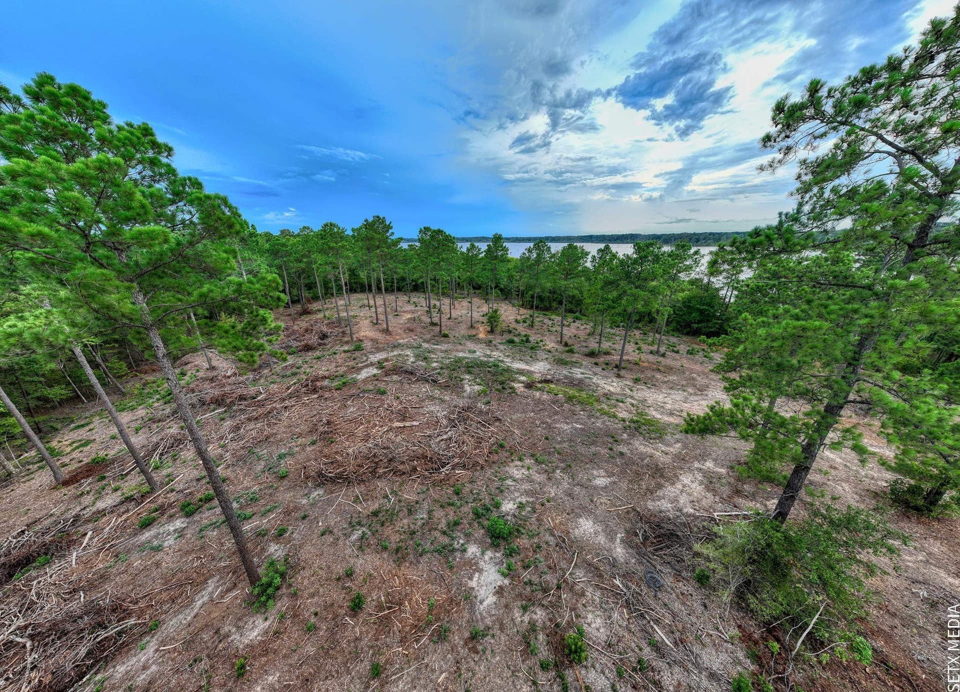 1.5 acres in Texas County - photo 20