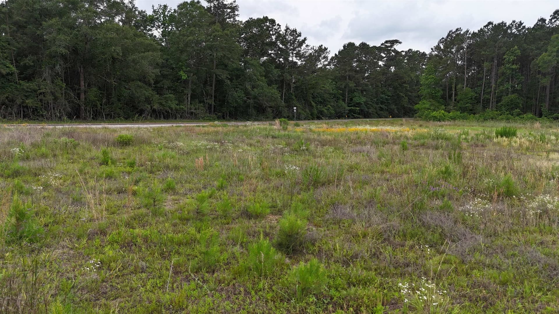 16.3 acres in Texas County - photo 13
