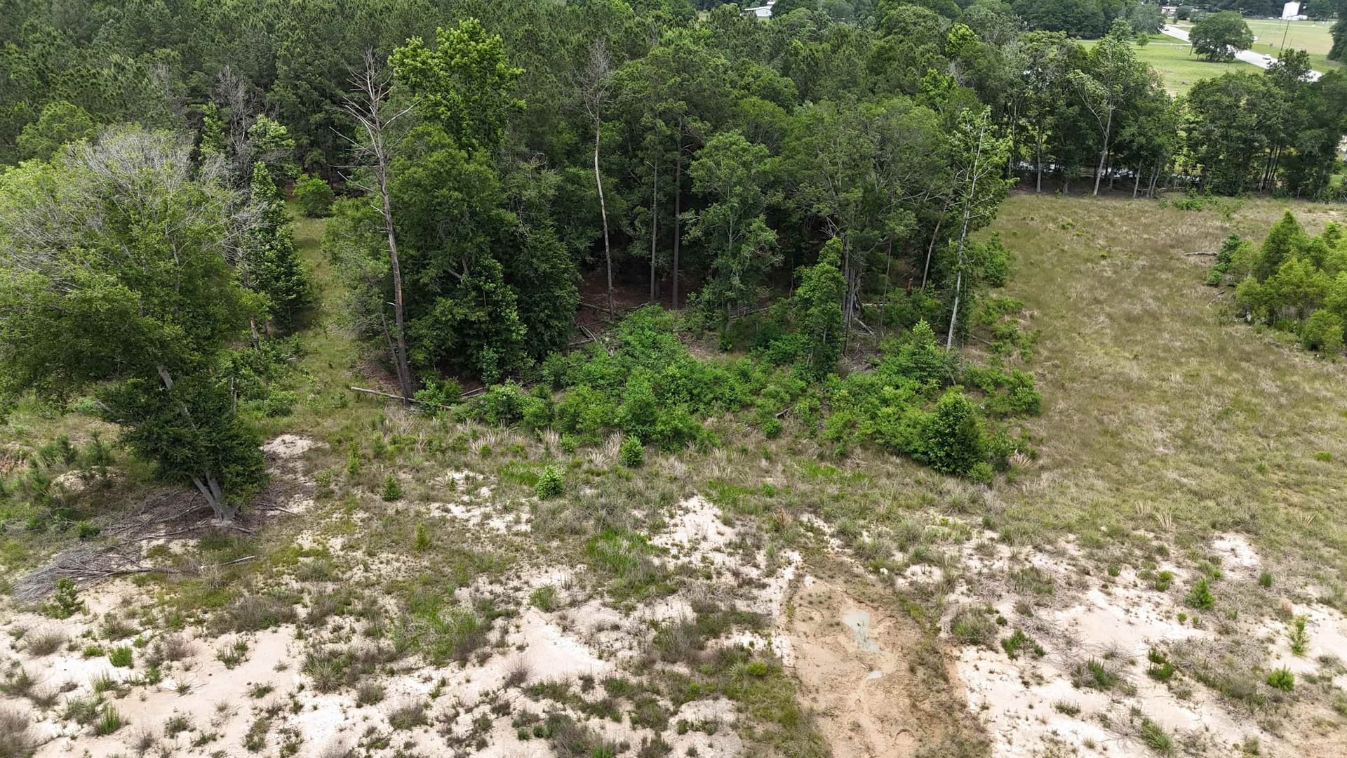 16.3 acres in Texas County - photo 6