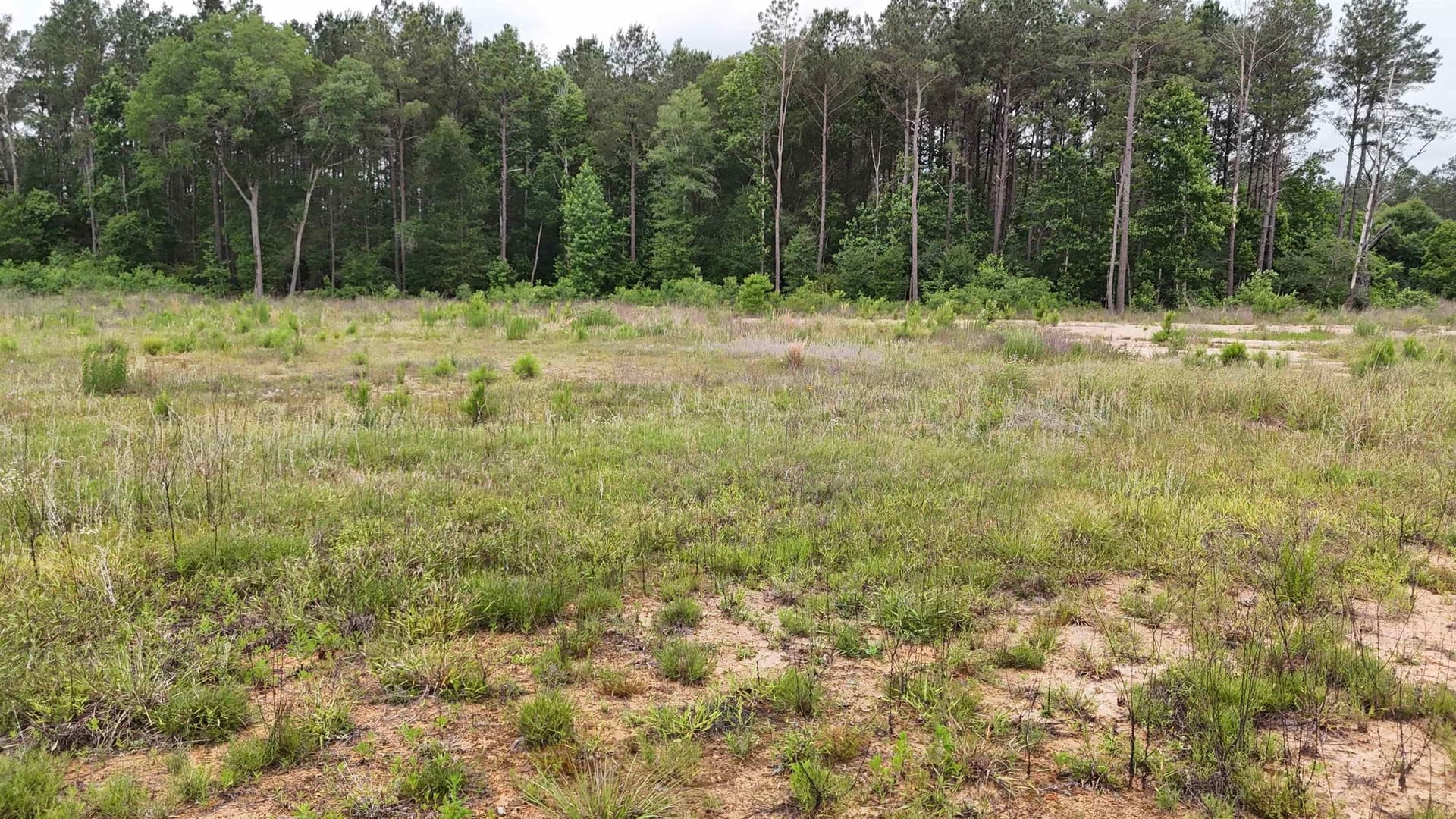 16.3 acres in Texas County - photo 22