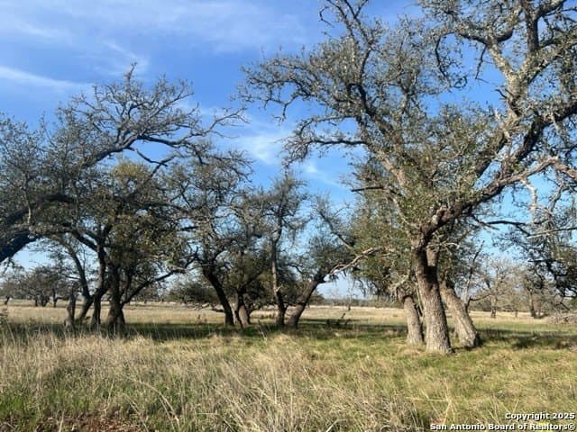 5.44 acres in Gillespie County - photo 6