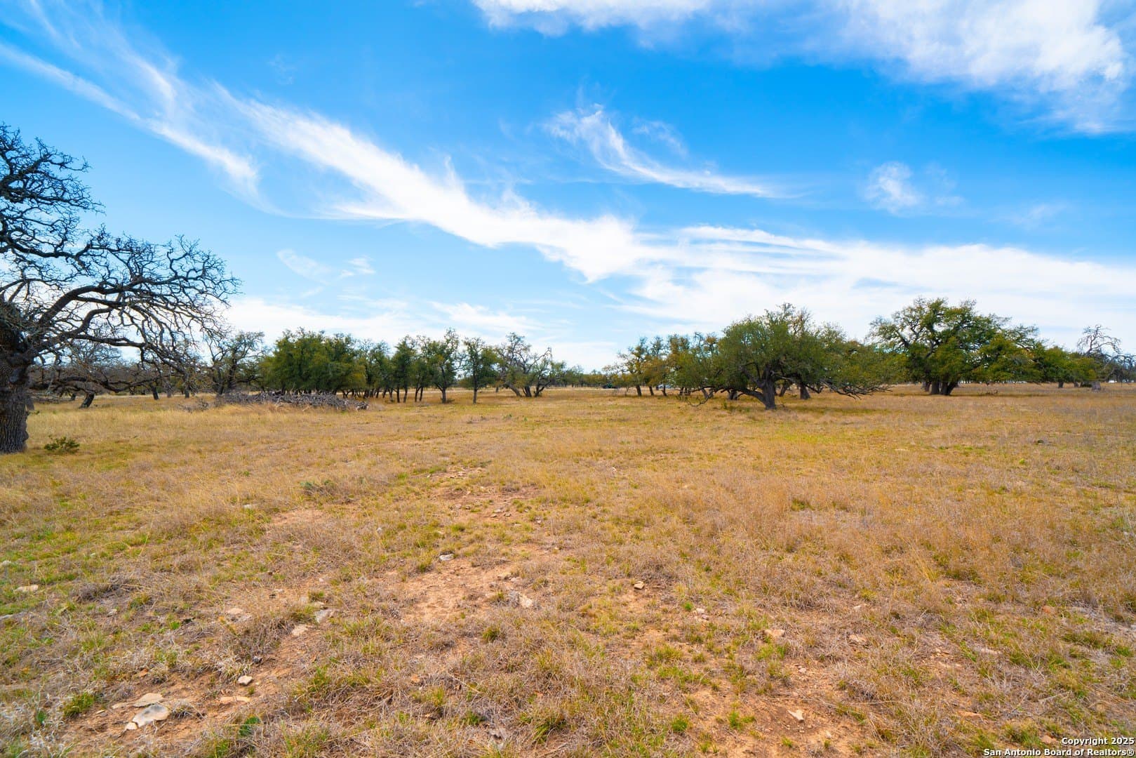 5.44 acres in Gillespie County - photo 16