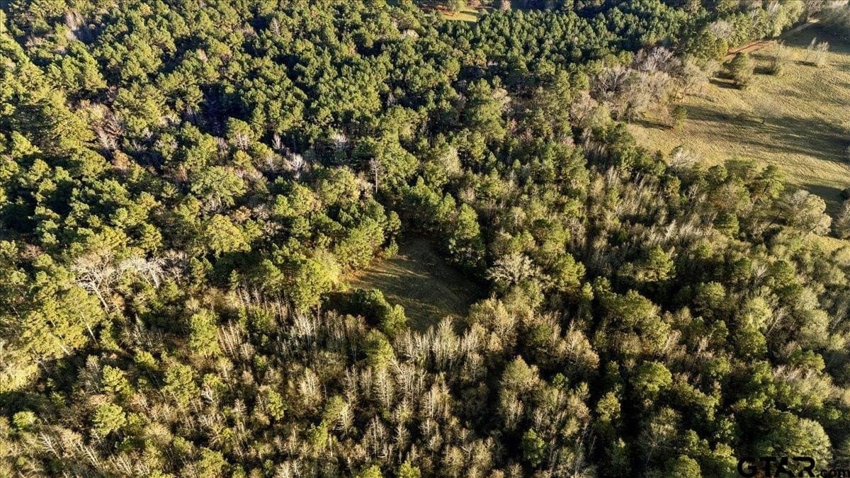 33.83 acres in Cherokee County gallery image 4