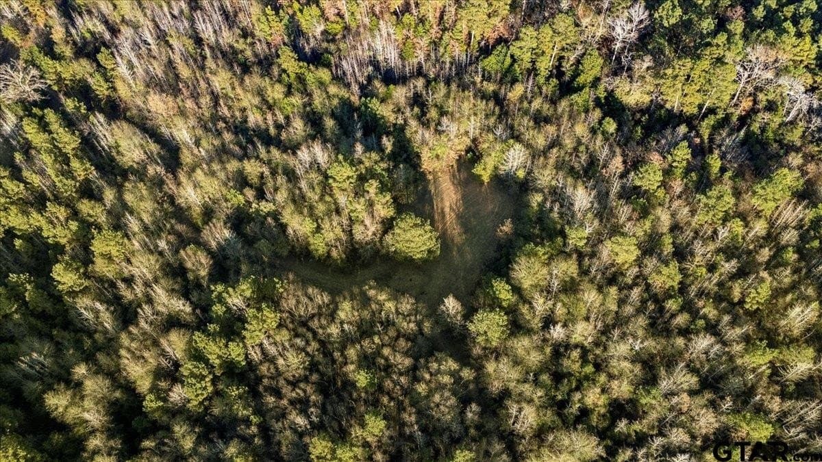 33.83 acres in Cherokee County featured view