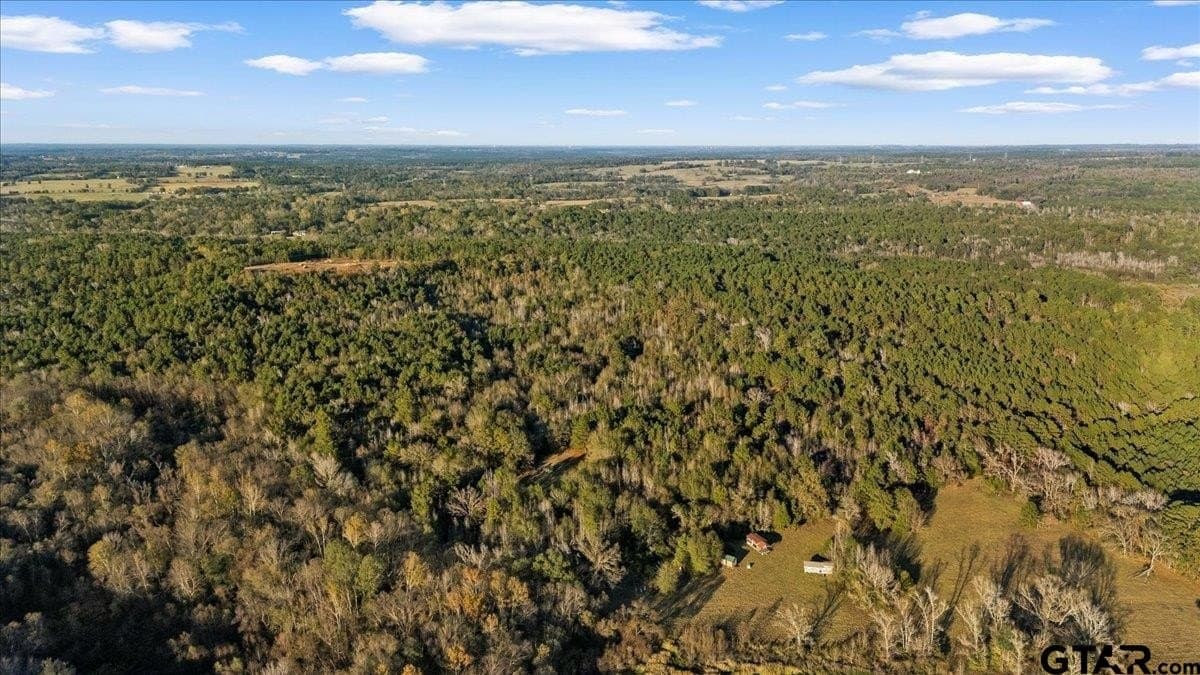 33.83 acres in Cherokee County gallery image 3