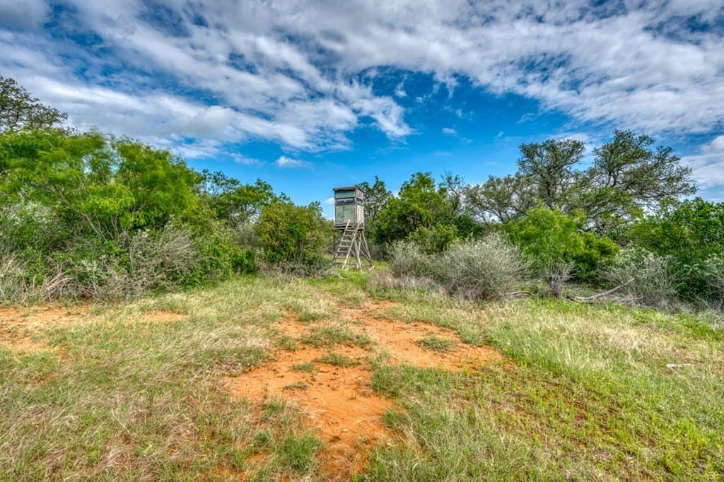 66.06 acres in Llano County - photo 44