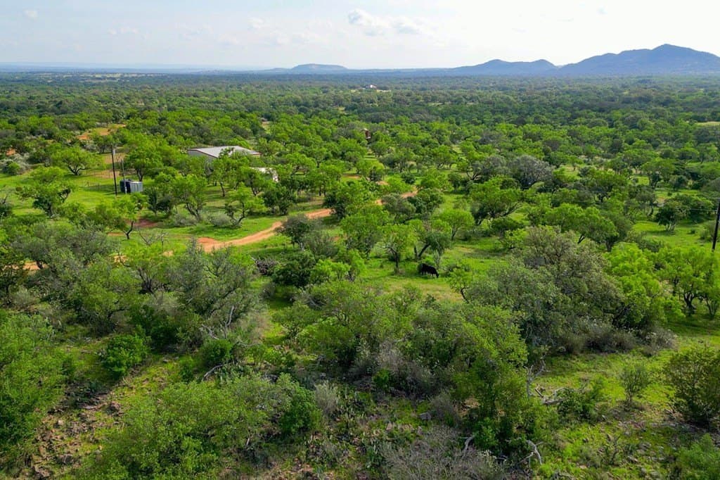 66.06 acres in Llano County - photo 35