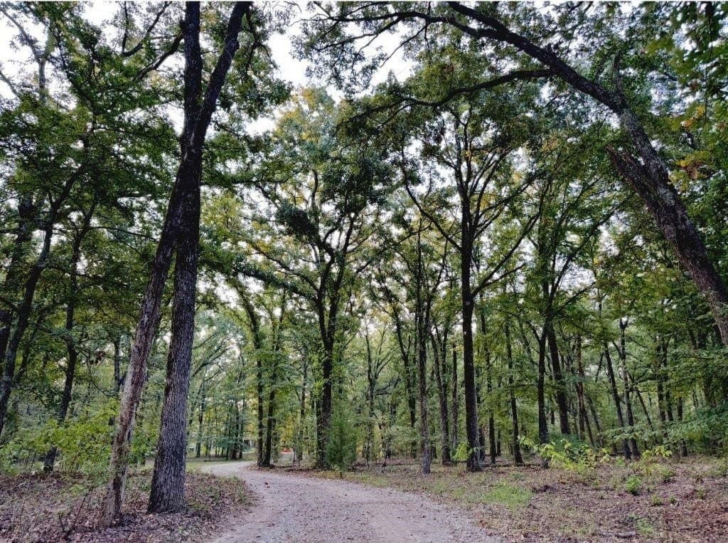 22 acres in Van Zandt County gallery image 3