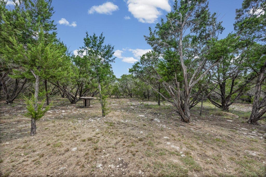 17.06 acres in Blanco County - photo 45