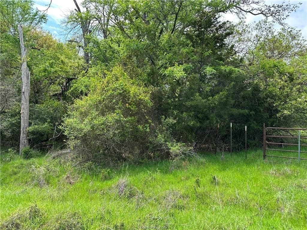 2 acres in Robertson County gallery image 2