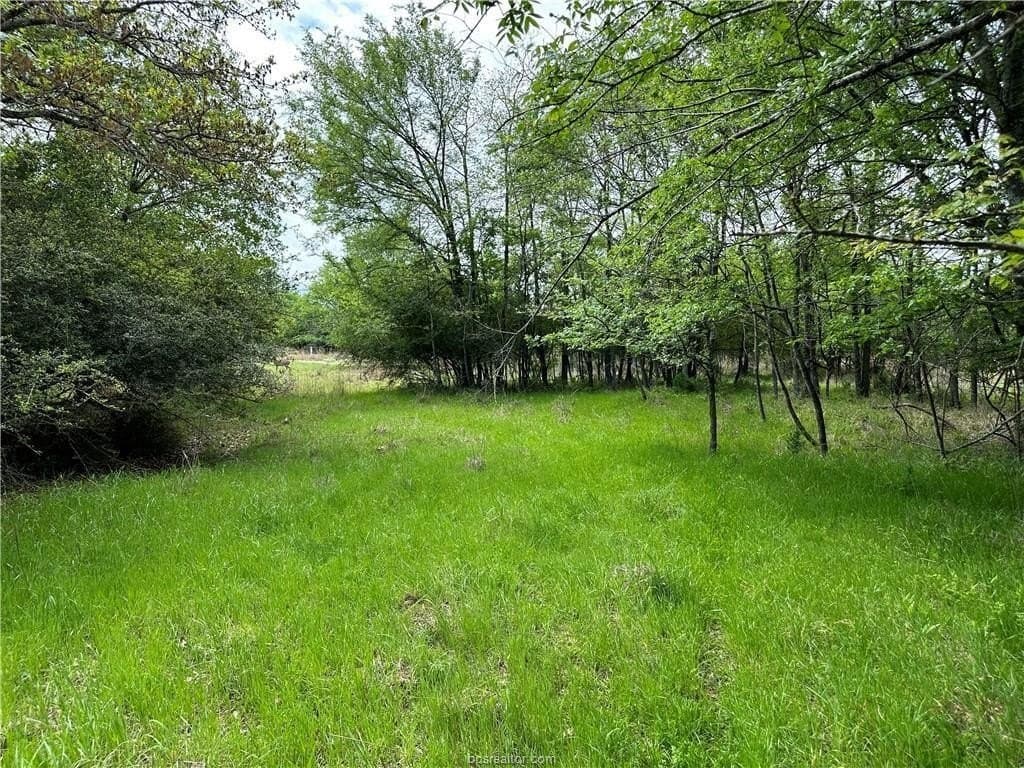 2 acres in Robertson County gallery image 3