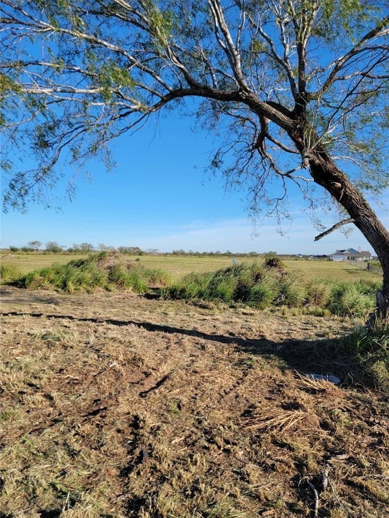 2 acres in Nueces County - photo 7