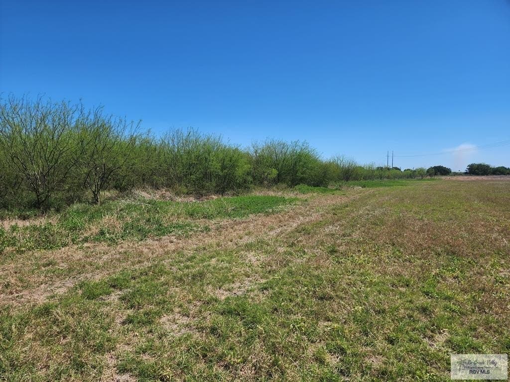 19.07 acres in CAMERON County - photo 7