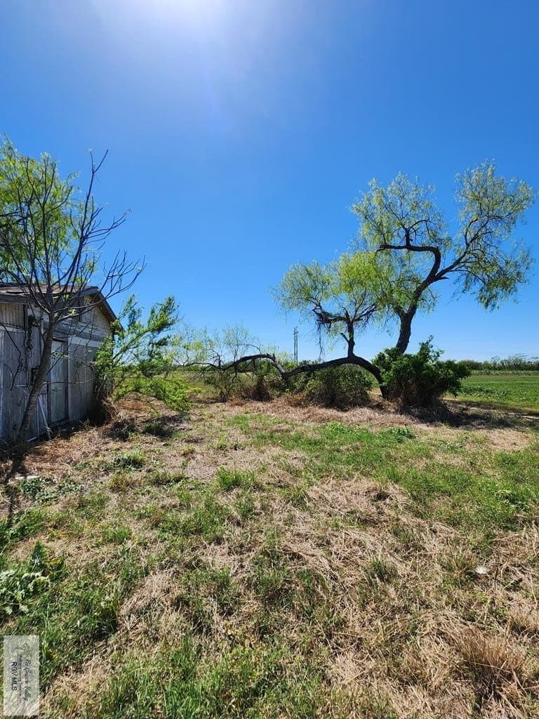 19.07 acres in CAMERON County - photo 16