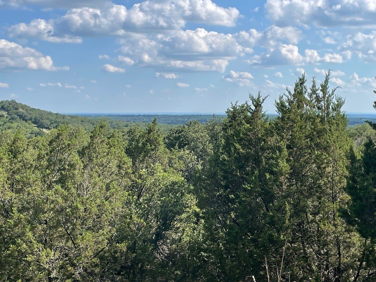 12.52 acres in Eastland County - photo 10