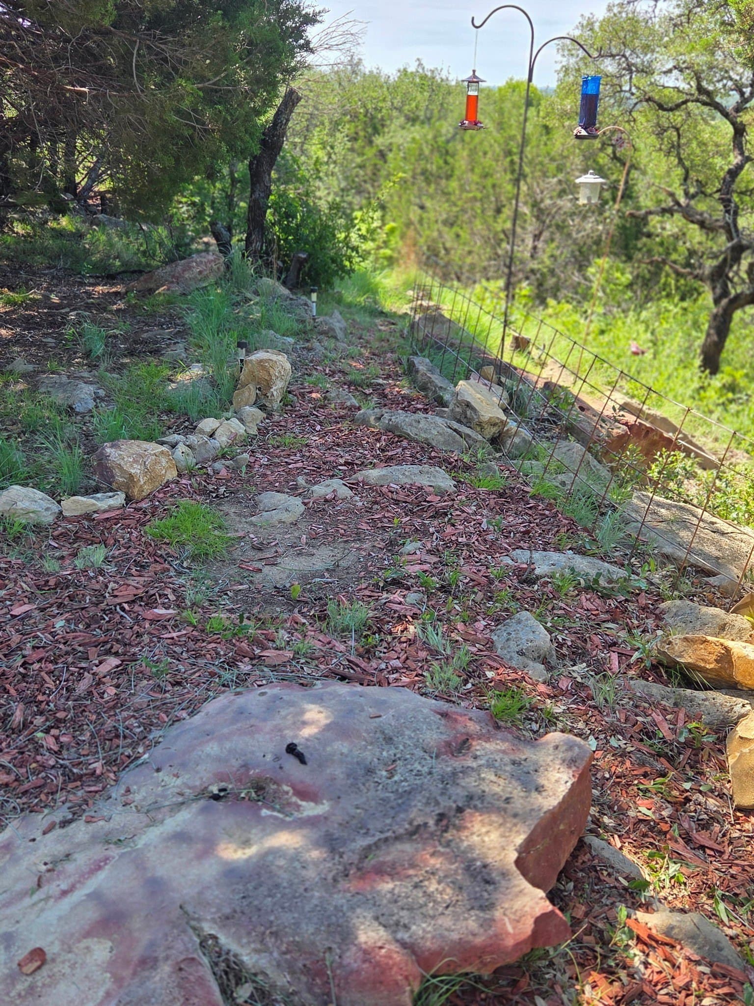 12.52 acres in Eastland County - photo 23